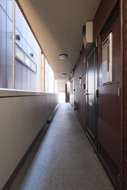 15/30 その他画像