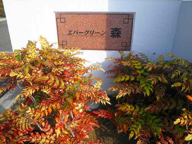 22/29 エントランス