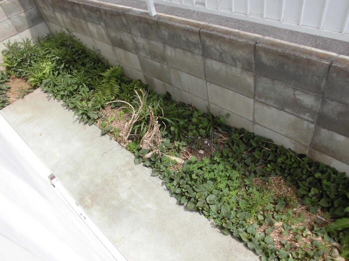 13/17 その他画像