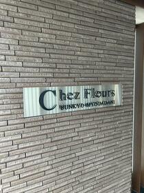 8/16 その他画像