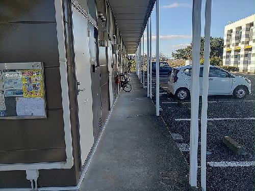 11/14 その他画像