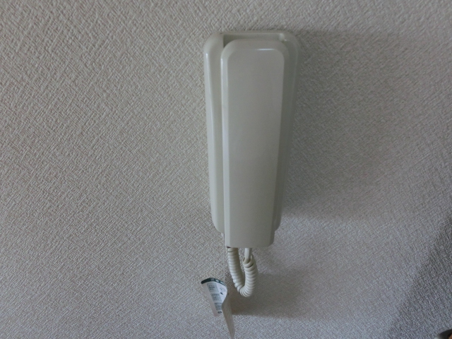 13/19 その他画像