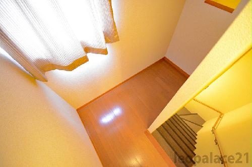 11/14 その他画像