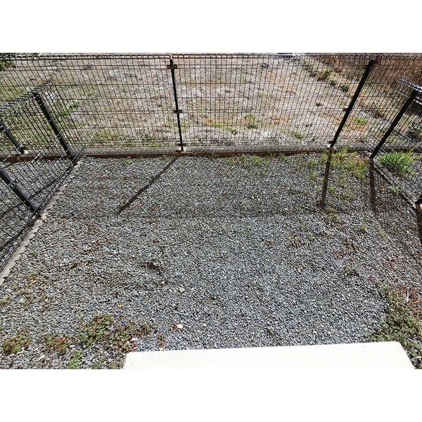 8/11 その他画像