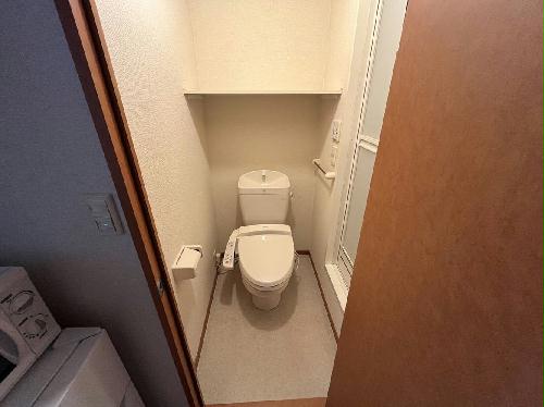 8/14 その他画像