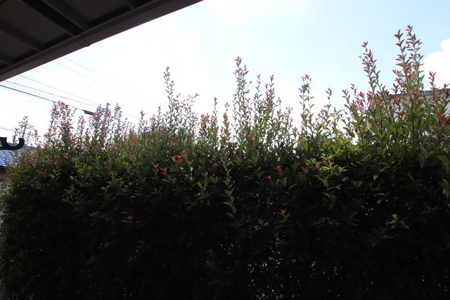 20/22 その他画像