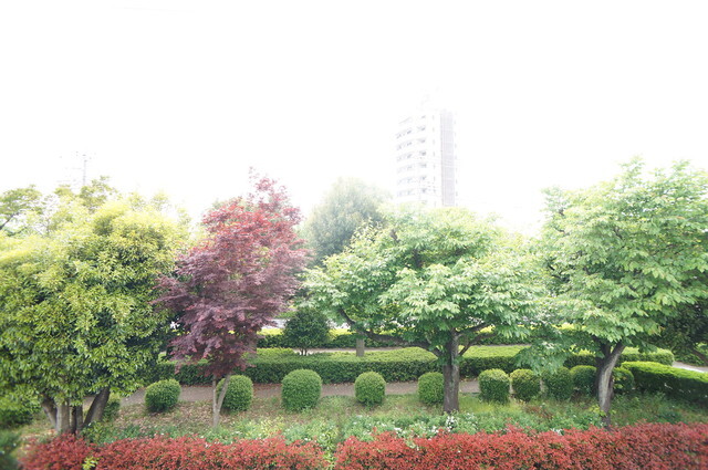 17/22 その他画像