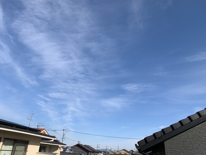 17/25 その他画像