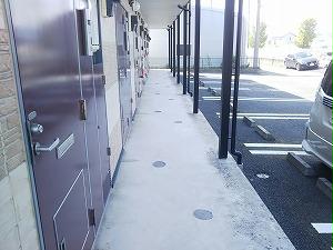 11/14 その他画像