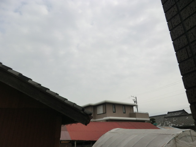 11/28 その他画像