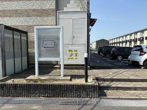 8/19 その他画像