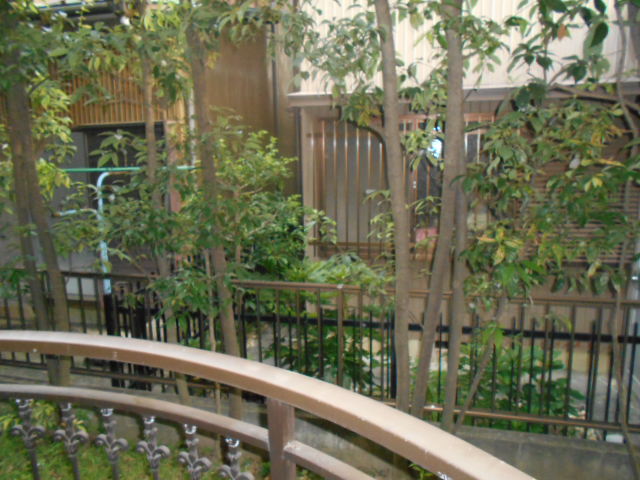 17/25 その他画像