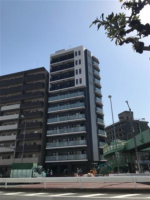 11/11 その他画像