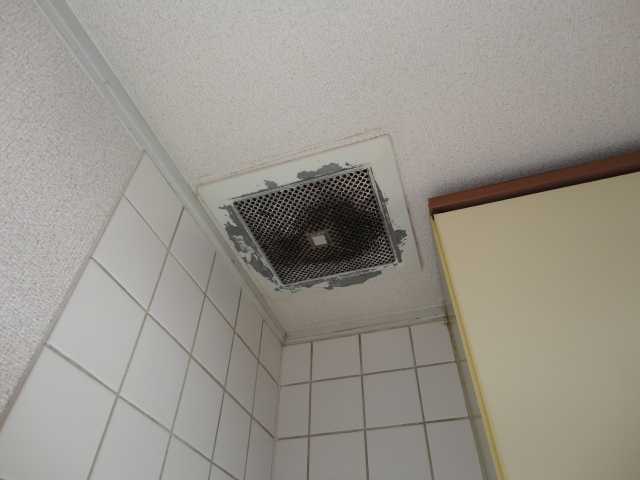 19/26 その他画像