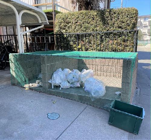 10/24 その他画像