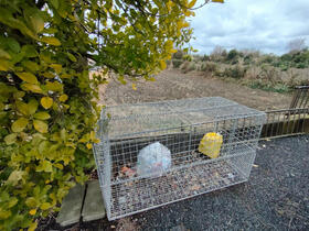 11/14 その他画像