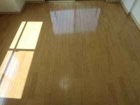 11/13 その他画像