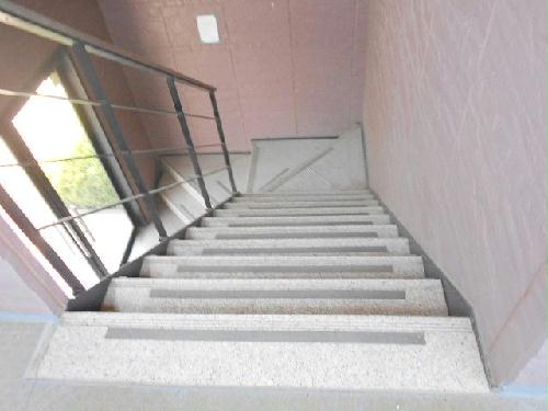 11/14 その他画像