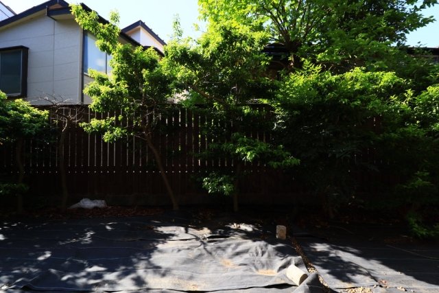 21/24 その他画像