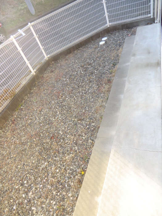 12/17 その他画像