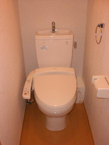 11/14 その他画像