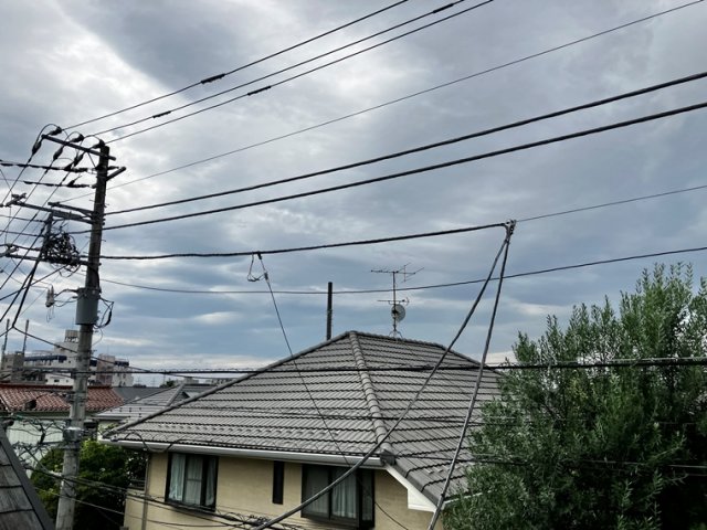 15/29 その他画像