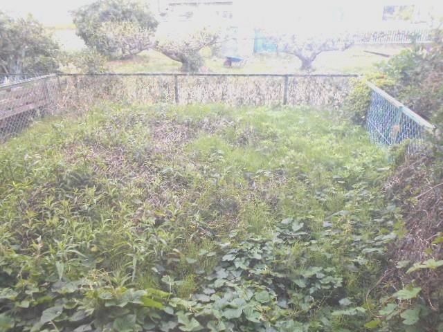 14/30 その他画像