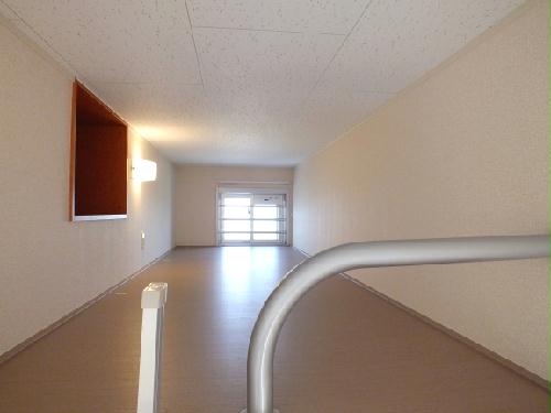 11/15 その他画像