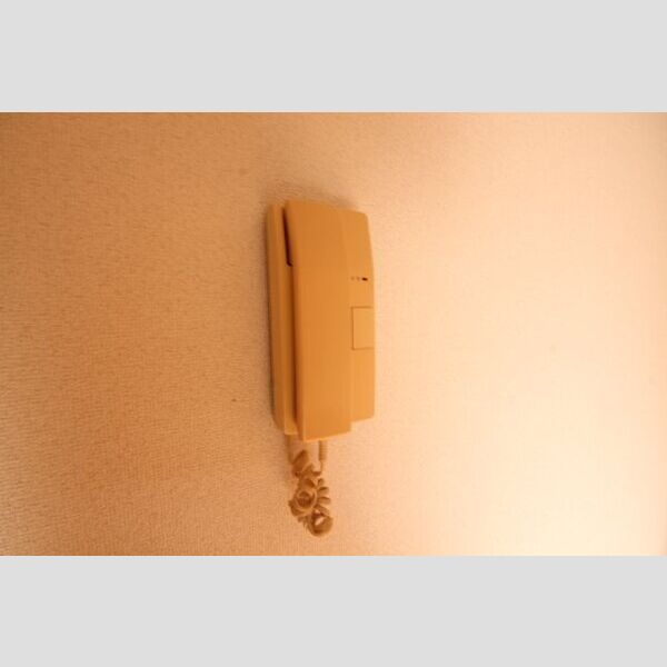 11/15 その他画像