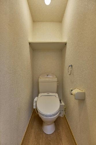 11/15 その他画像