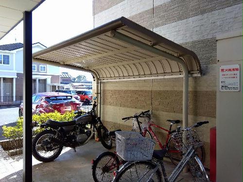 11/14 その他画像