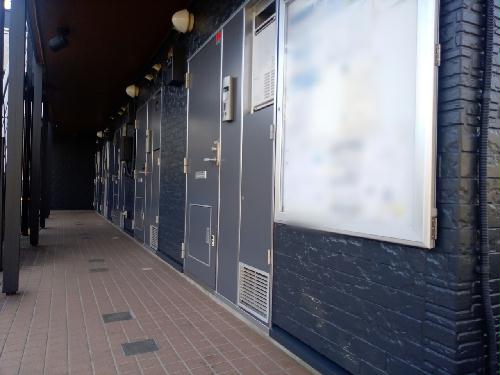 11/24 その他画像