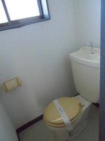 6/11 その他画像