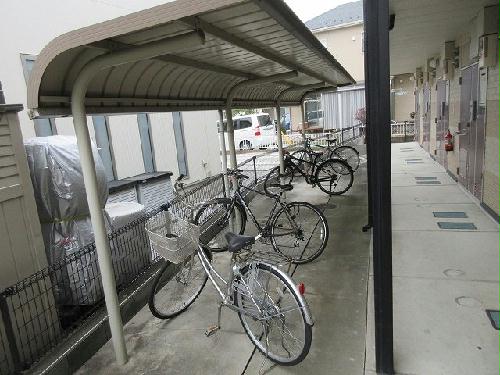 11/17 その他画像