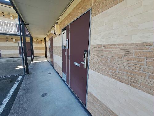 11/20 その他画像