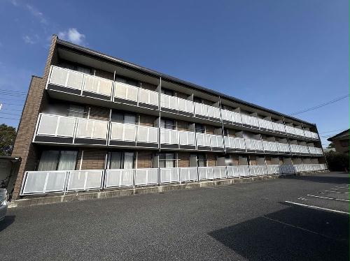 8/14 その他画像