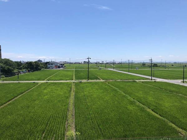 13/19 その他画像