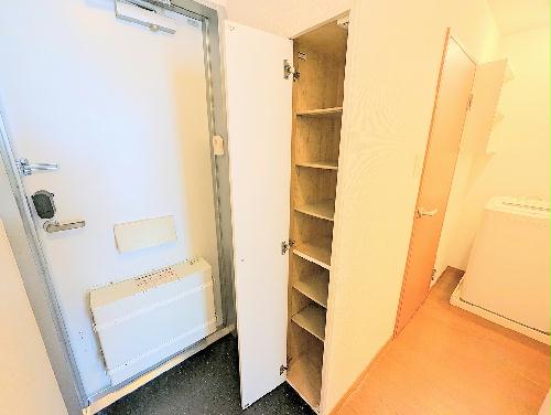 8/14 その他画像