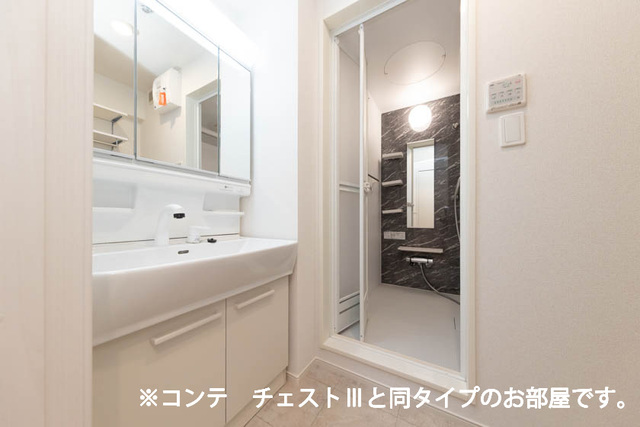 エムズステージⅧの洗面所