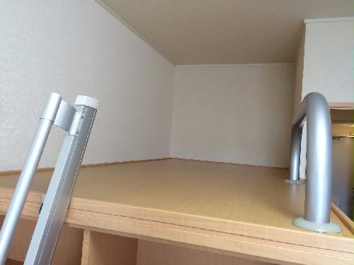 13/14 その他画像