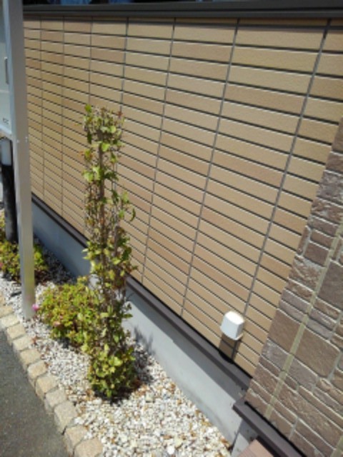 12/20 その他画像