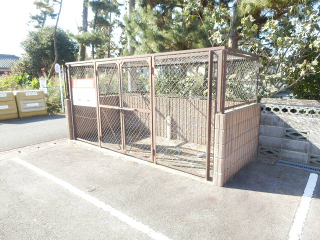 20/30 その他画像