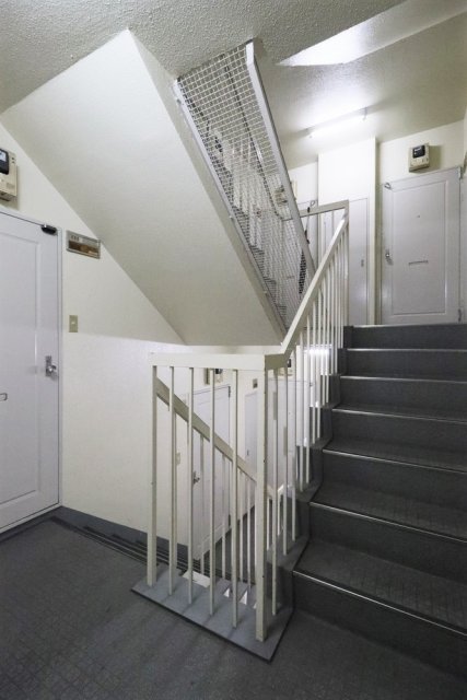 16/19 その他画像