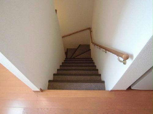 8/14 その他画像