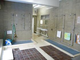 9/16 その他画像