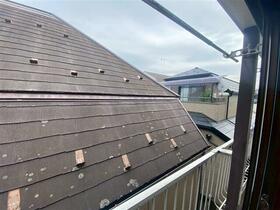 14/16 その他画像