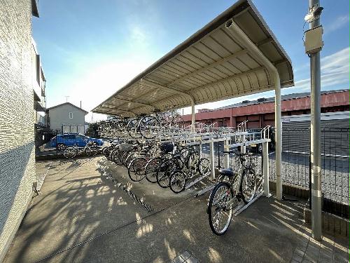 11/29 その他画像