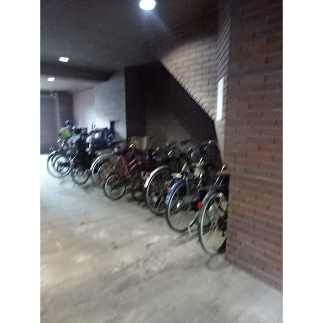 16/19 その他画像