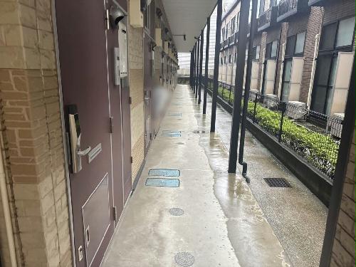 13/19 その他画像