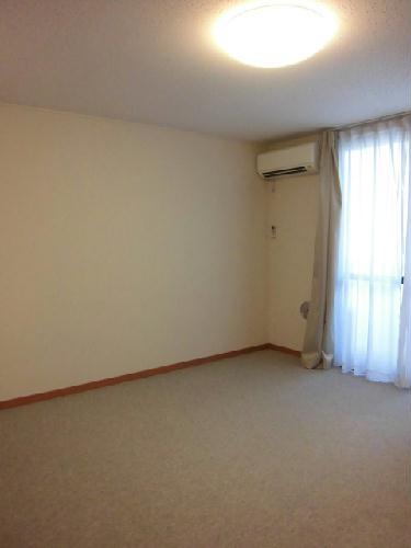 13/14 その他画像